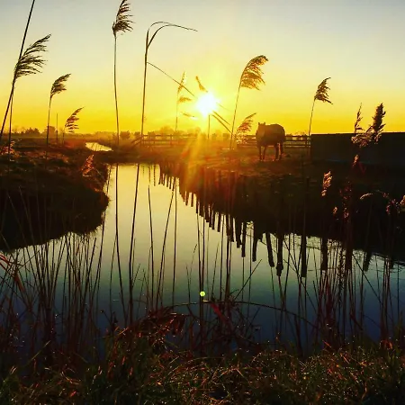 Pavillon à Saint-jean-de-monts: 2 Chambres, Proche Plage, Forêt Et Commerces, Jardin Clos - Fr-1-323-259 Casa de Férias Saint-Jean-de-Monts