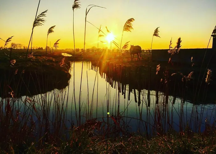 Pavillon A Saint-jean-de-monts, Jardin Clos, Animaux Acceptes - Fr-1-323-259 펜션 생장드몽