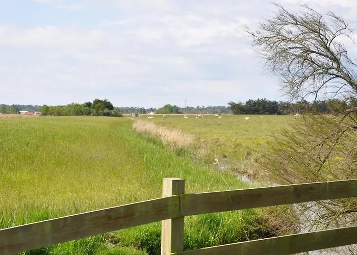 Pavillon A Saint-jean-de-monts, Jardin Clos, Animaux Acceptes - Fr-1-323-259 *